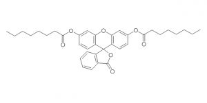 GA01096-03032016 - Fluorescein dioctanoate